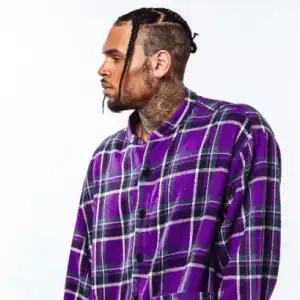 Chris Brown - Electric Guitar